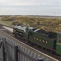 Dungeness Railway Station webcam